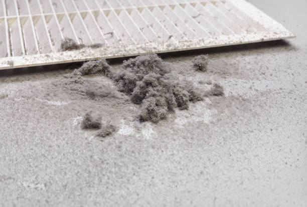 Best Ductwork Cleaning Services  in Menasha, WI