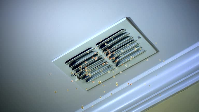 Best Home Air Vent Cleaning  in Menasha, WI