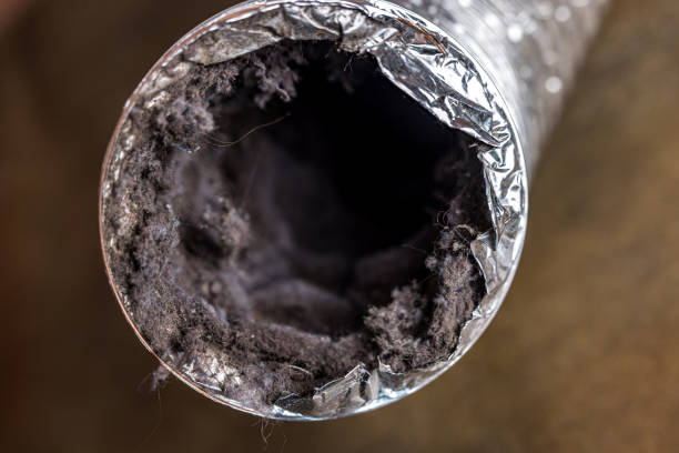 Best Best Air Duct Cleaning Company  in Menasha, WI