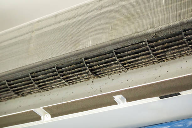 Best Professional Duct Cleaning Services  in Menasha, WI